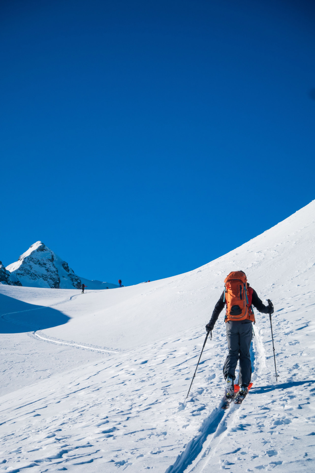 Expériences alpines, Estate Advisory